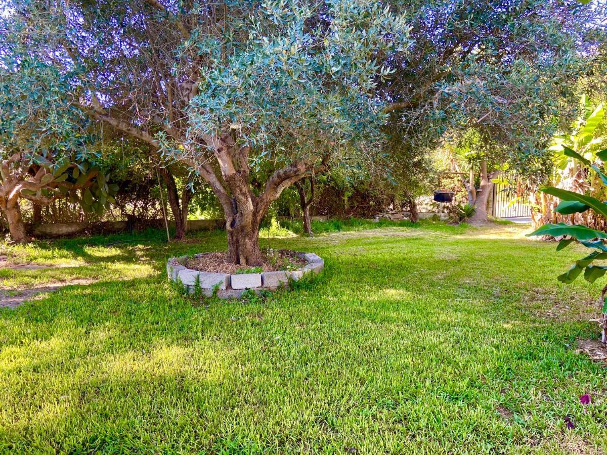 Cottage House,With Big Garden & Lawn Amaliada Bagian luar foto