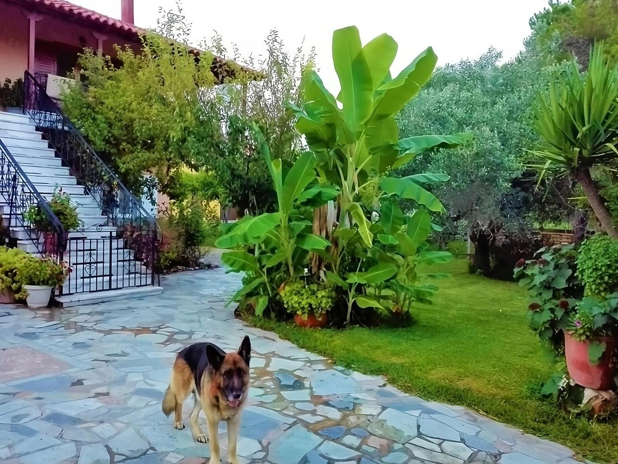 Cottage House,With Big Garden & Lawn Amaliada Bagian luar foto